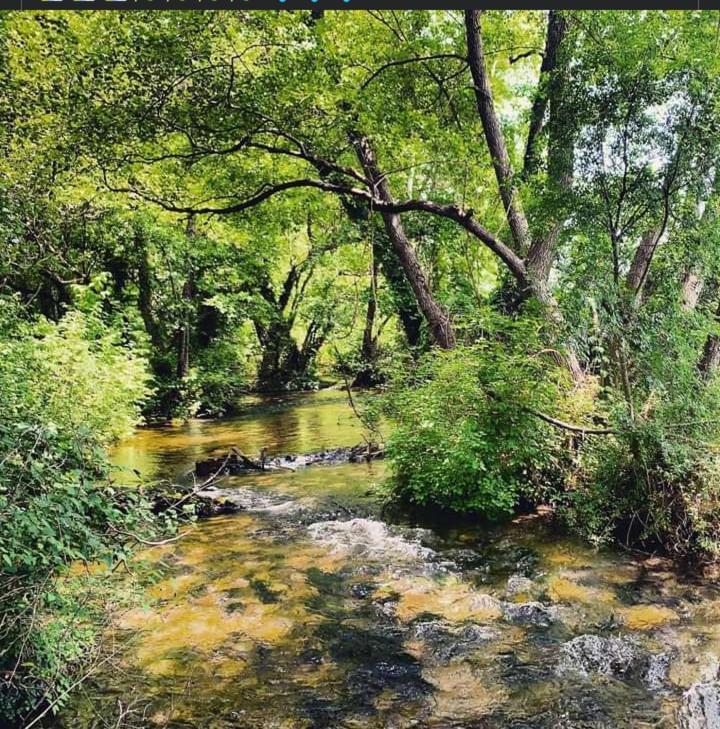 Oniron Villa Sidirokastro  Dış mekan fotoğraf